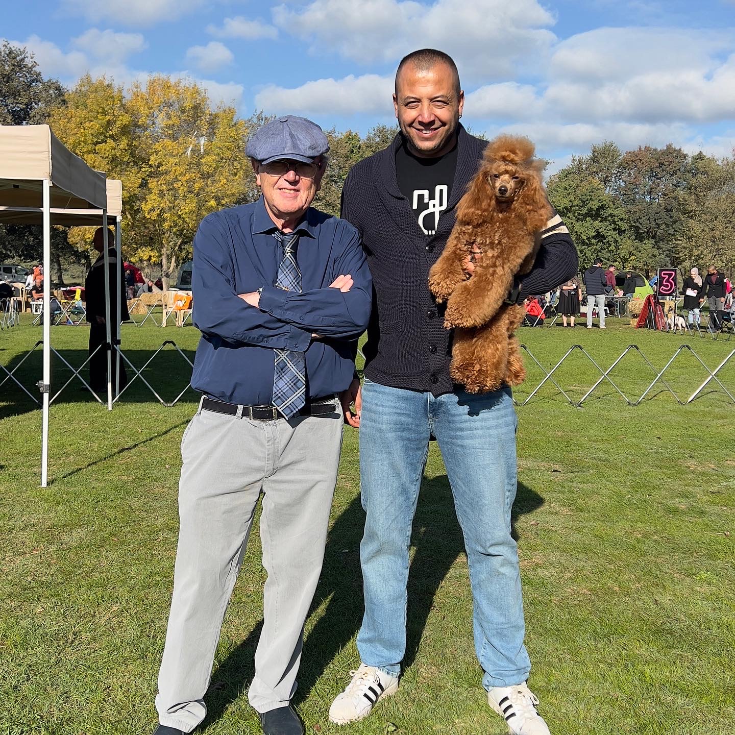 SECERELİ TOY POODLE